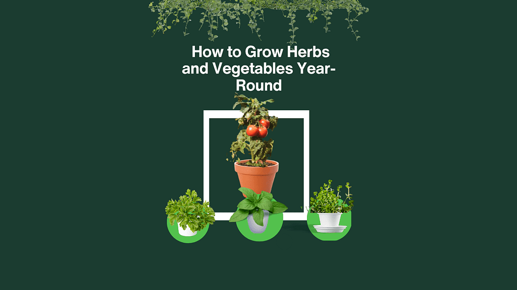 Indoor Planting Guide