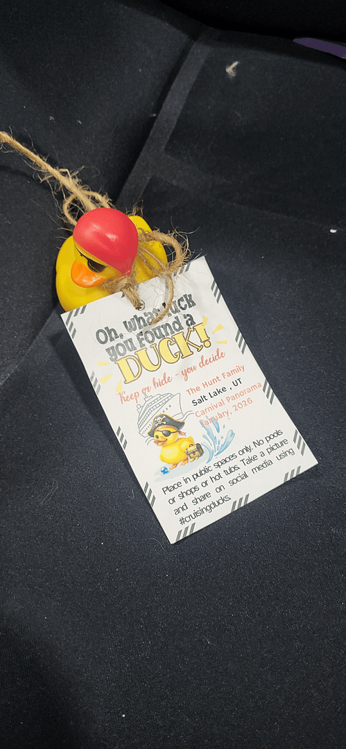 hiding ducks on the Carnival panorama