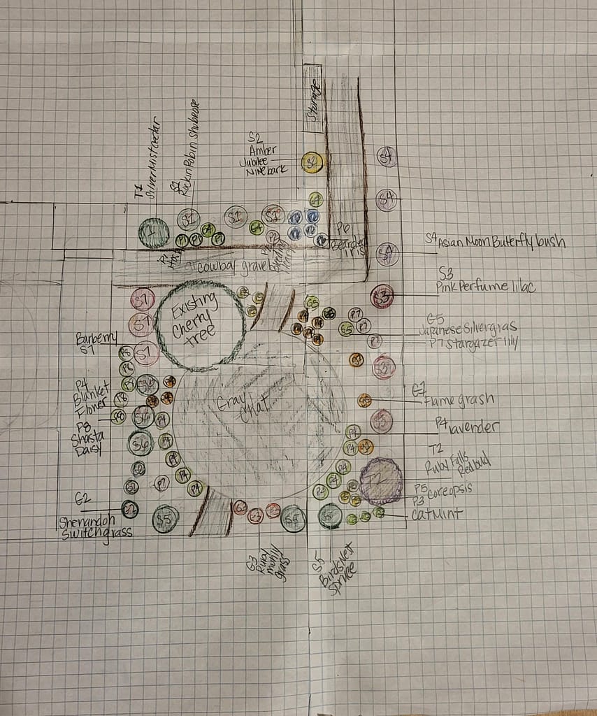 My drawn-out landscape plan for low maintenance landscape