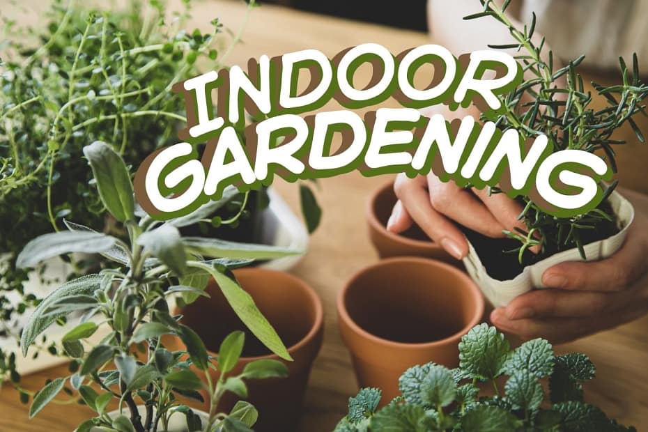 indoor gardening